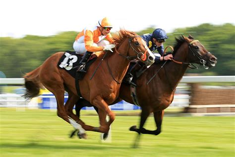 at the races fast results